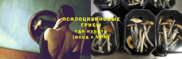 ALPHA PVP Аркадак